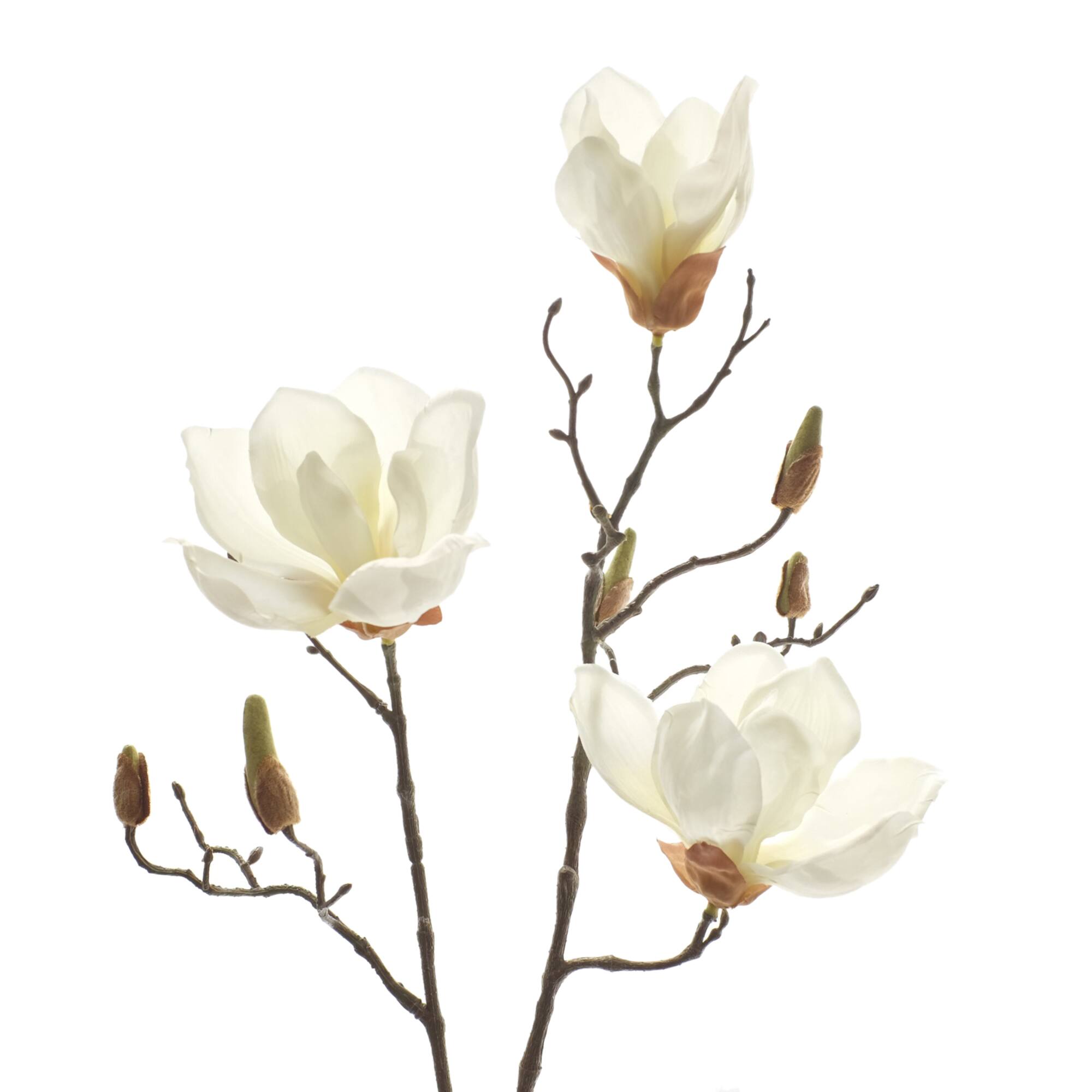 12 Pack: White Magnolia Branch Spray by Ashland®